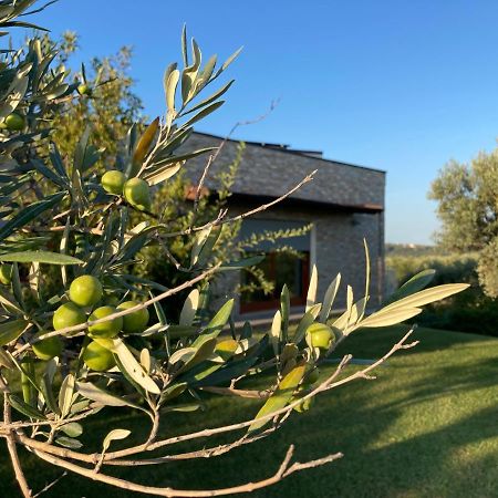 Bed and Breakfast Gioia In Collina Torrevecchia Teatina Exterior foto