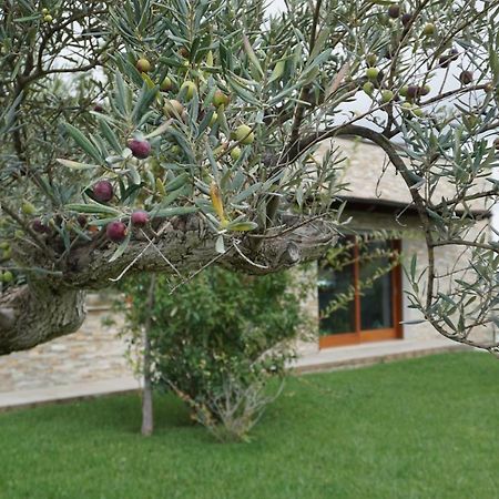 Bed and Breakfast Gioia In Collina Torrevecchia Teatina Exterior foto
