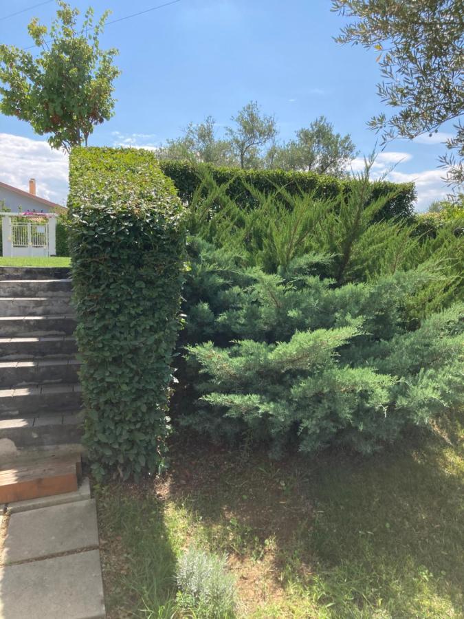 Bed and Breakfast Gioia In Collina Torrevecchia Teatina Exterior foto
