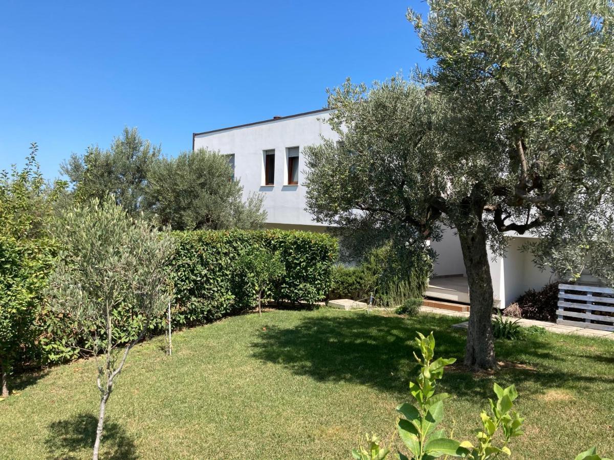 Bed and Breakfast Gioia In Collina Torrevecchia Teatina Exterior foto
