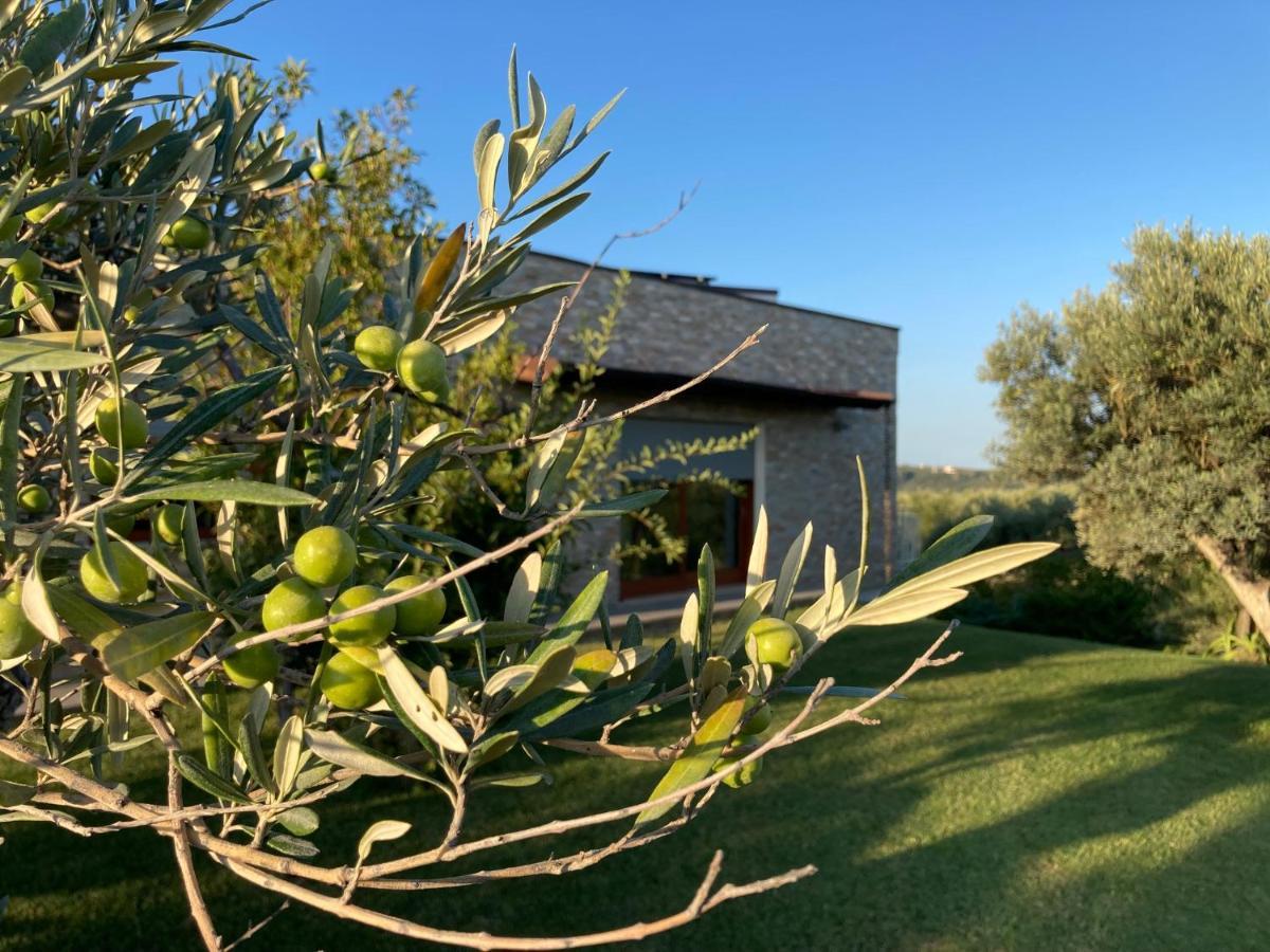Bed and Breakfast Gioia In Collina Torrevecchia Teatina Exterior foto