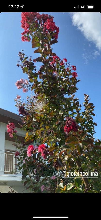 Bed and Breakfast Gioia In Collina Torrevecchia Teatina Exterior foto