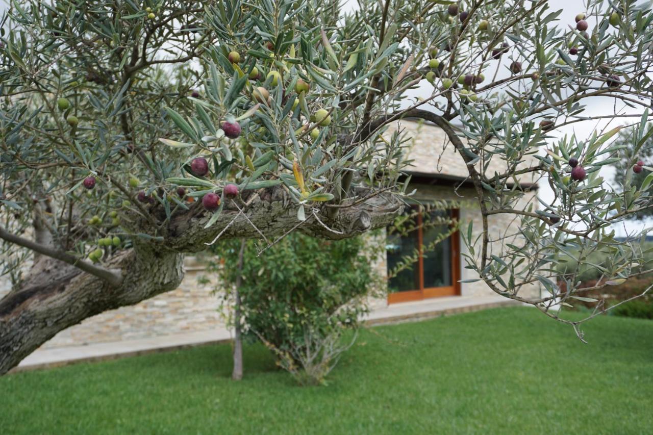 Bed and Breakfast Gioia In Collina Torrevecchia Teatina Exterior foto