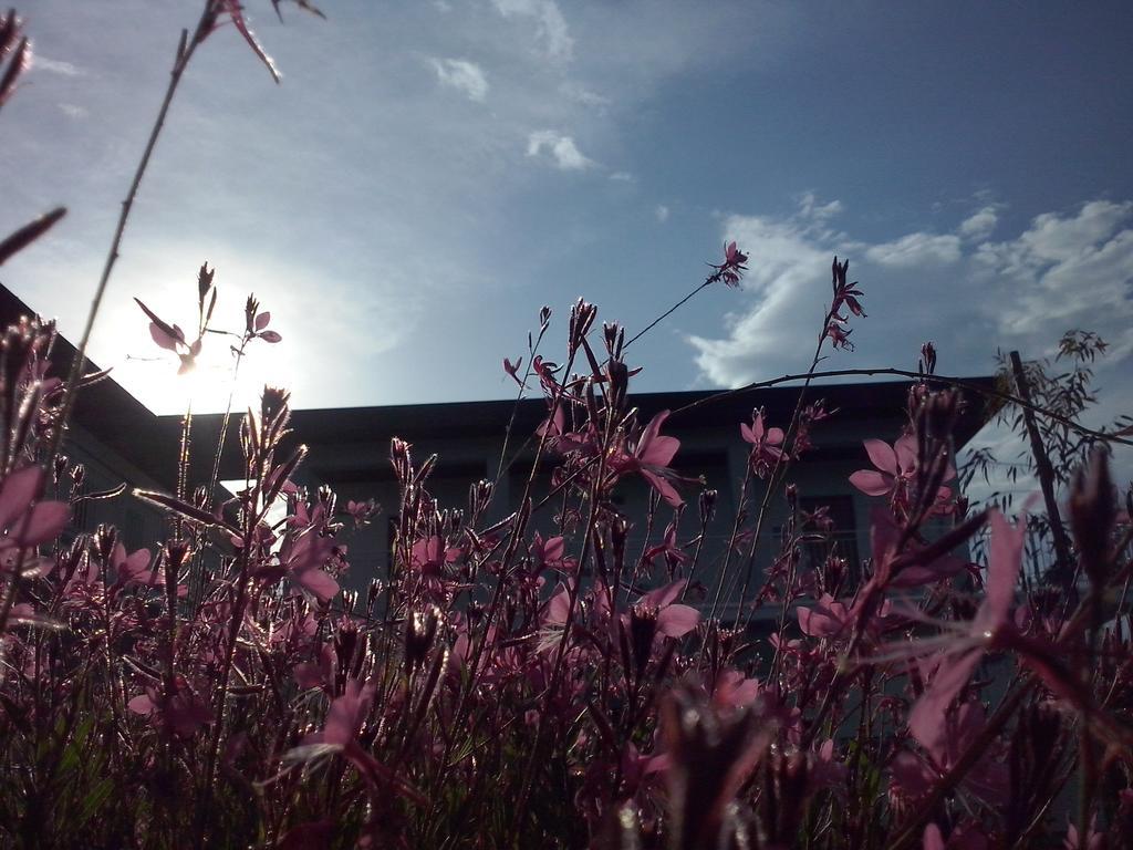 Bed and Breakfast Gioia In Collina Torrevecchia Teatina Exterior foto
