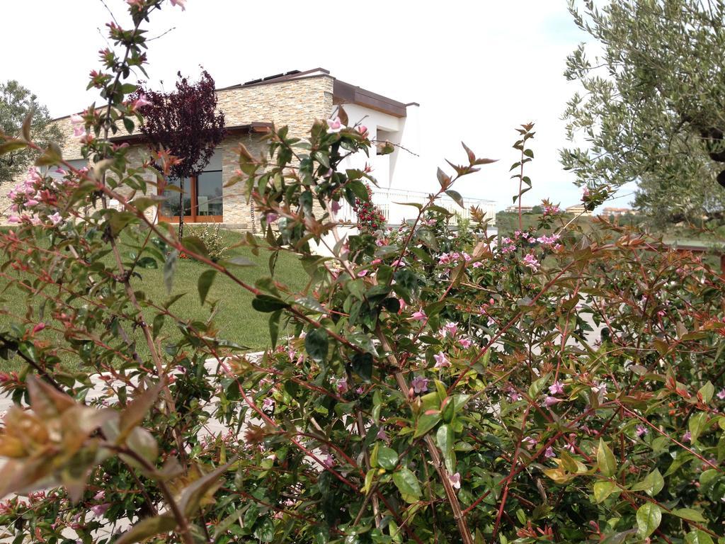 Bed and Breakfast Gioia In Collina Torrevecchia Teatina Exterior foto