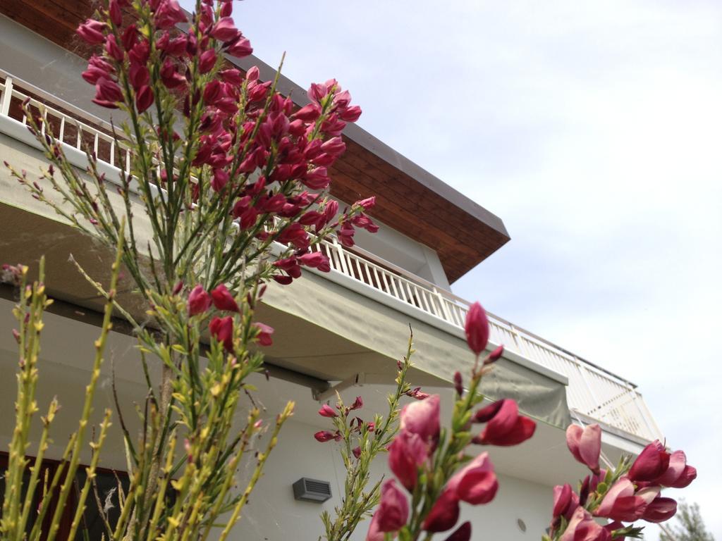 Bed and Breakfast Gioia In Collina Torrevecchia Teatina Exterior foto